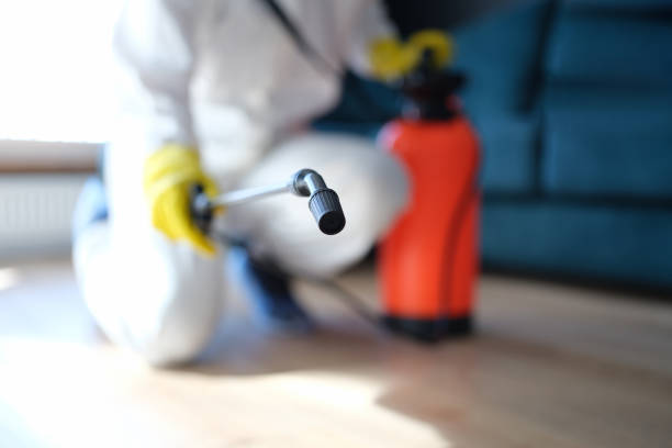 Best Indoor Air Quality Assessment  in Castle Rock, CO
